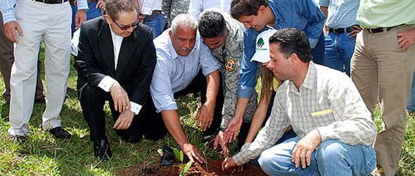 medio-ambiente-plan-reforestacion