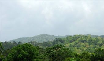 aniana001 Parque Nacional Aniana Vargas