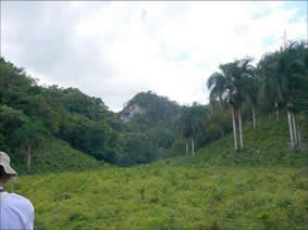 aniana006 Naturaleza en el Parque Nacional Aniana Vargas