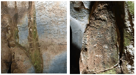 aniana021 Petroglifos de la guacara de Papo