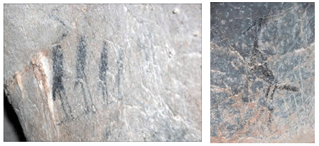 aniana040 Aves pintadas en la guacara de Comedero n°4.