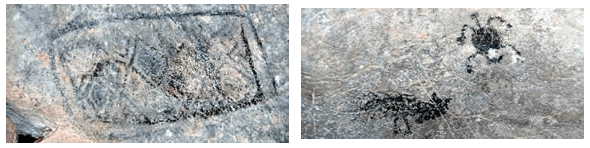 aniana041 Diseño geométrico y tortuga y torso de perro en la guacara de Comedero n°4