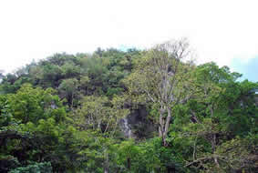 aniana045 Montes de Caballero