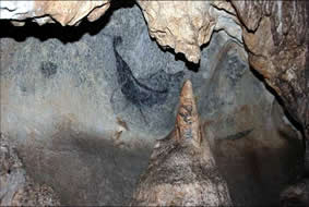 aniana066 Coco prieto (Plegadis falcinellus) asociado a un petroglifo en la guacara de La SEF.