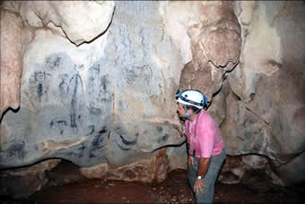 aniana069 Panel con pinturas de la guacara de La SEF.