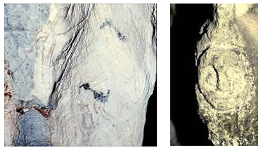 aniana070 Pinturas y petroglifo tipo cara de lechuza de la guacara de Jenny.