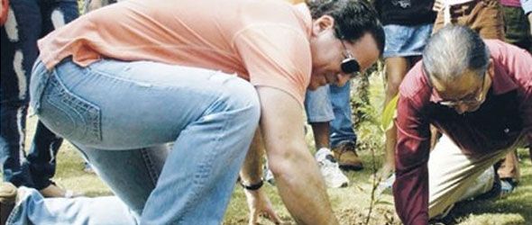 el-dia-aniversario-reforestacion
