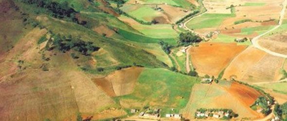 COE-critica-explotacion-loma-miranda