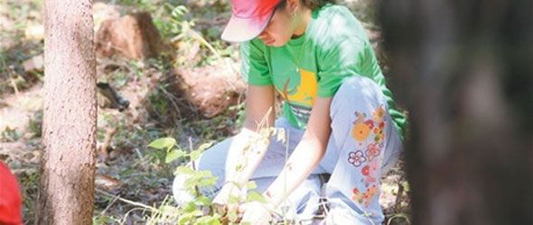 jornada-reforestacion-nigua