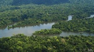 No hay signos claros de por qué una especie es hiperdominante. Futuros análisis intentarán ahondar en este punto.