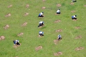 Parte del grupo asistente durante la Reforestación.