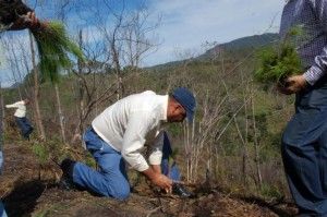 medio ambiente sembrado