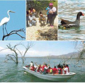 medamb_ecoturis_lago_enriquillo