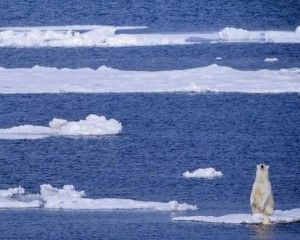 cambio-climatico