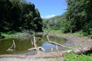 HATILLO PALMA, Guayubín.-  La tala sin ningún tipo de control y la quema indiscriminada, de  arboles  está causando estragos en las fuentes de agua que permiten el abastecimiento de cientos de familias de las zonas baja de la Cordillera Septentrional, específicamente en la zona de Guayubín.Laguna de Loma de Solim+ín, en la Cordillera Septentrional,Hoy/Cortesia Rafael Pujols 1/10/14