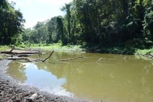 HATILLO PALMA, Guayubín.-  La tala sin ningún tipo de control y la quema indiscriminada, de  arboles  está causando estragos en las fuentes de agua que permiten el abastecimiento de cientos de familias de las zonas baja de la Cordillera Septentrional, específicamente en la zona de Guayubín.Laguna de Loma de Solim+ín, en la Cordillera Septentrional, Hoy/Cortesia Rafael Pujols.1/10/14