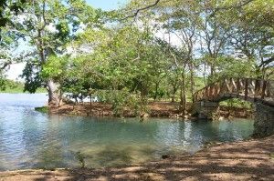 Comision de Indultos