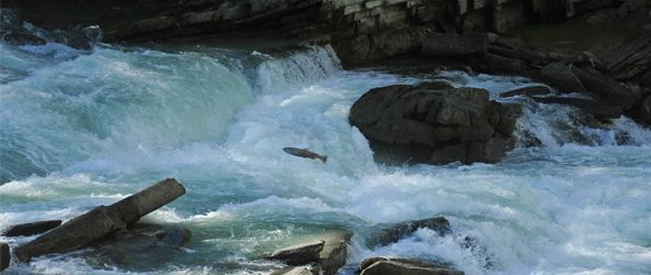 Advierten pobre calidad del agua dulce del país