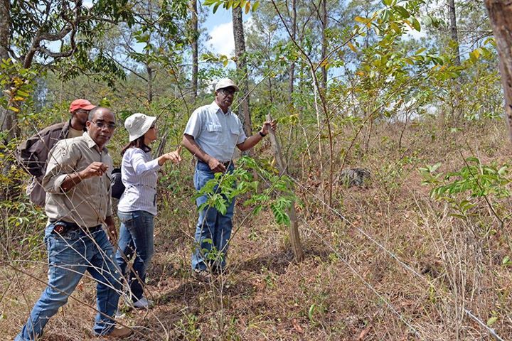 Medio Ambiente recupera terrenos de proyecto forestal fronterizo que fueron invadidos por particulares de manera ilegal