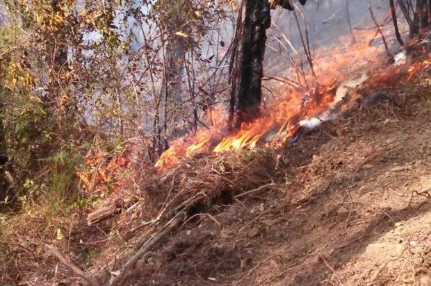 Incendios afectan varias comunidades de la provincia Dajabón