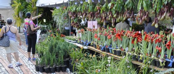 El Jardín Botánico Nacional pide proteger las plantas