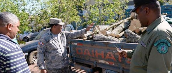 Medio Ambiente apresa a varias personas por corte ilegal de árboles