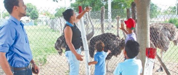 El zoológico de Gurabo: una opción de aprendizaje