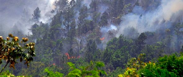 Loma Miranda arde; ecologista dice fueron manos criminales