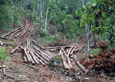 Medio Ambiente advierte no permitirá invadan terrenos en Loma Novillero