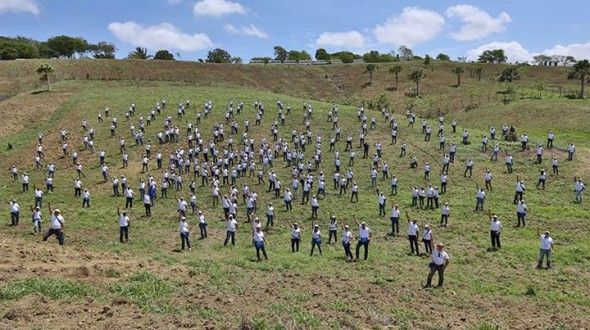 Empleados del Popular plantan 5,260 árboles de caoba en SJM