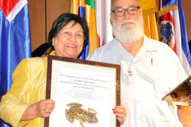 Designan nueva especie de rana con el nombre de la ministra de Educación Superior