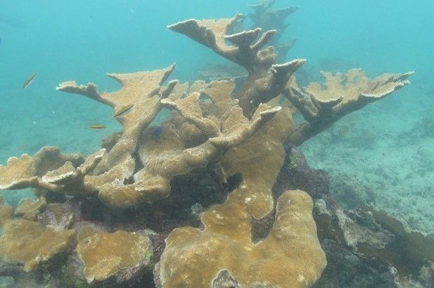 Un museo escondido en el fondo del mar