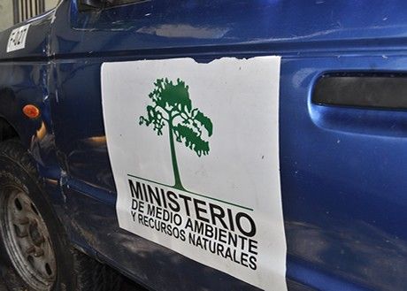 Medio Ambiente notifica a propietarios de planes de manejo forestales para que rotulen camiones que transportan madera