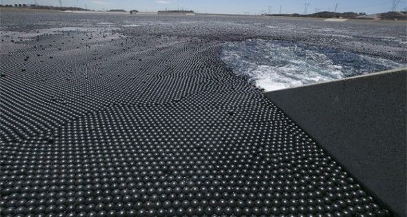 Más de 96 millones de bolas negras para detener la evaporación de una reserva de agua de Los Ángeles