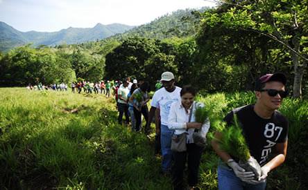 Medio Ambiente prioriza más de 19 mil tareas de cuencas para plantar parte de los 2 millones de árboles este mismo año