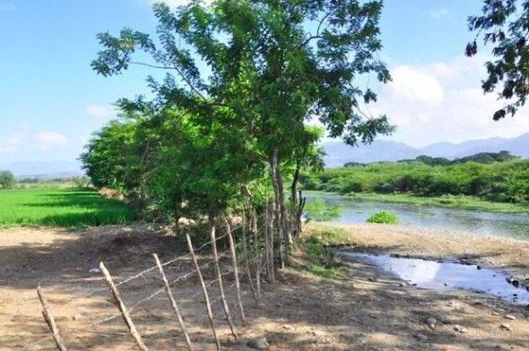 Hacendados ocupan áreas del río Yaque