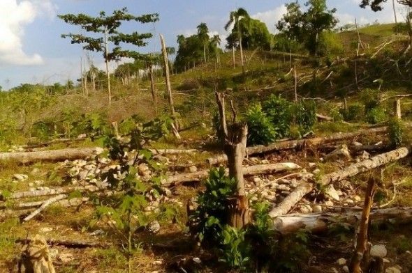 Desmontes y contaminación vertedero en Jamao al Norte