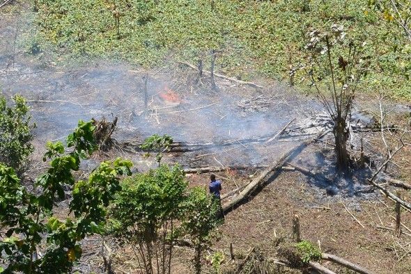 Medio Ambiente apresa y somete a la justicia al presidente de la Sala Capitular de San José de Ocoa por quemar miles de tareas de árboles