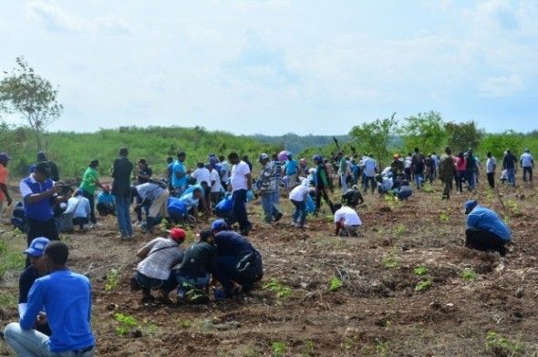 Empleados del CEA inician siembra de 35 mil árboles en San Pedro de Macorís