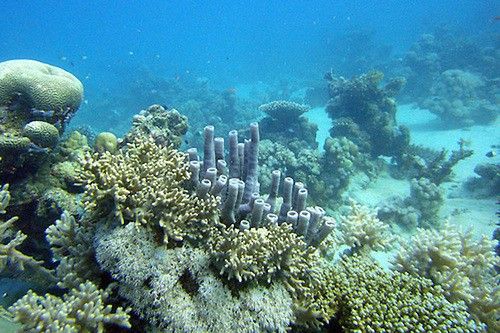 Estudian enfriar el aire acondicionado con el agua del fondo del mar Caribe