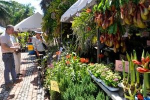 X Festival Nacional Plantas y Flores.JBN-Bernard Hdez. 31-10-14