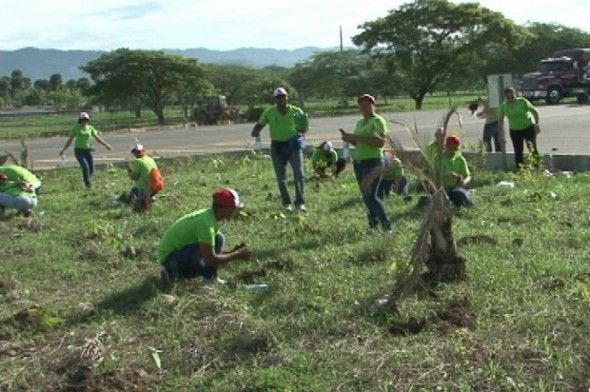 Siembran más de 25 mil árboles en Santiago