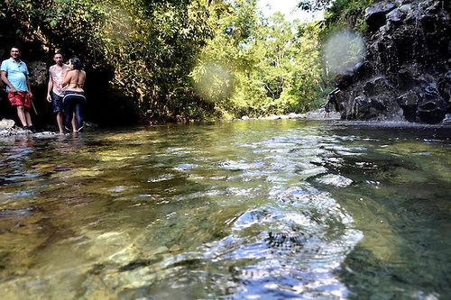 Loma Miranda una montaña con características excepcionales