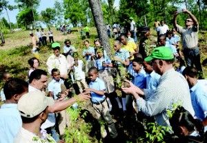 reforestacionplantas