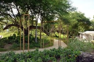En su 38 aniversario, el Jardín Botánico muestra la apertura de una serie de lugares atractivos para los interesados en la naturaleza y la investigación de distintas especies de la fauna dominicana, así como la organización y buen estado de sus instalaciones. Fotos: Carmen Suárez/acento.com.do Fecha: 11/08/2014