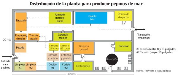 esquemapepinos