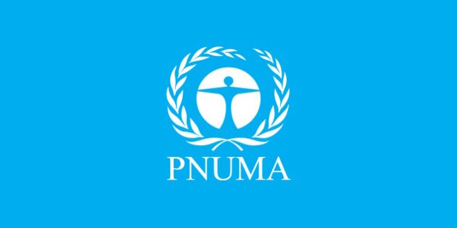 pnuma