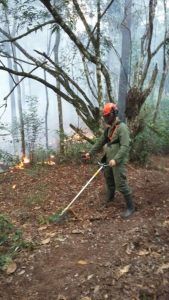 incendioforestaljarabacoa