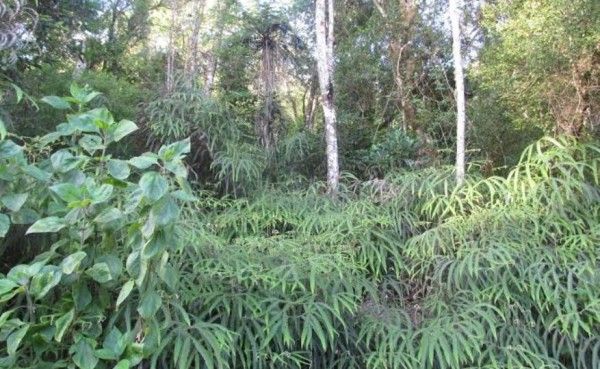 parquenacionalsierrabahoruco