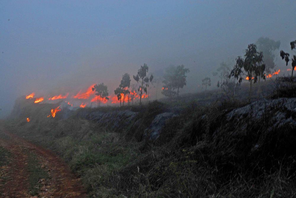 incendiobahoruco